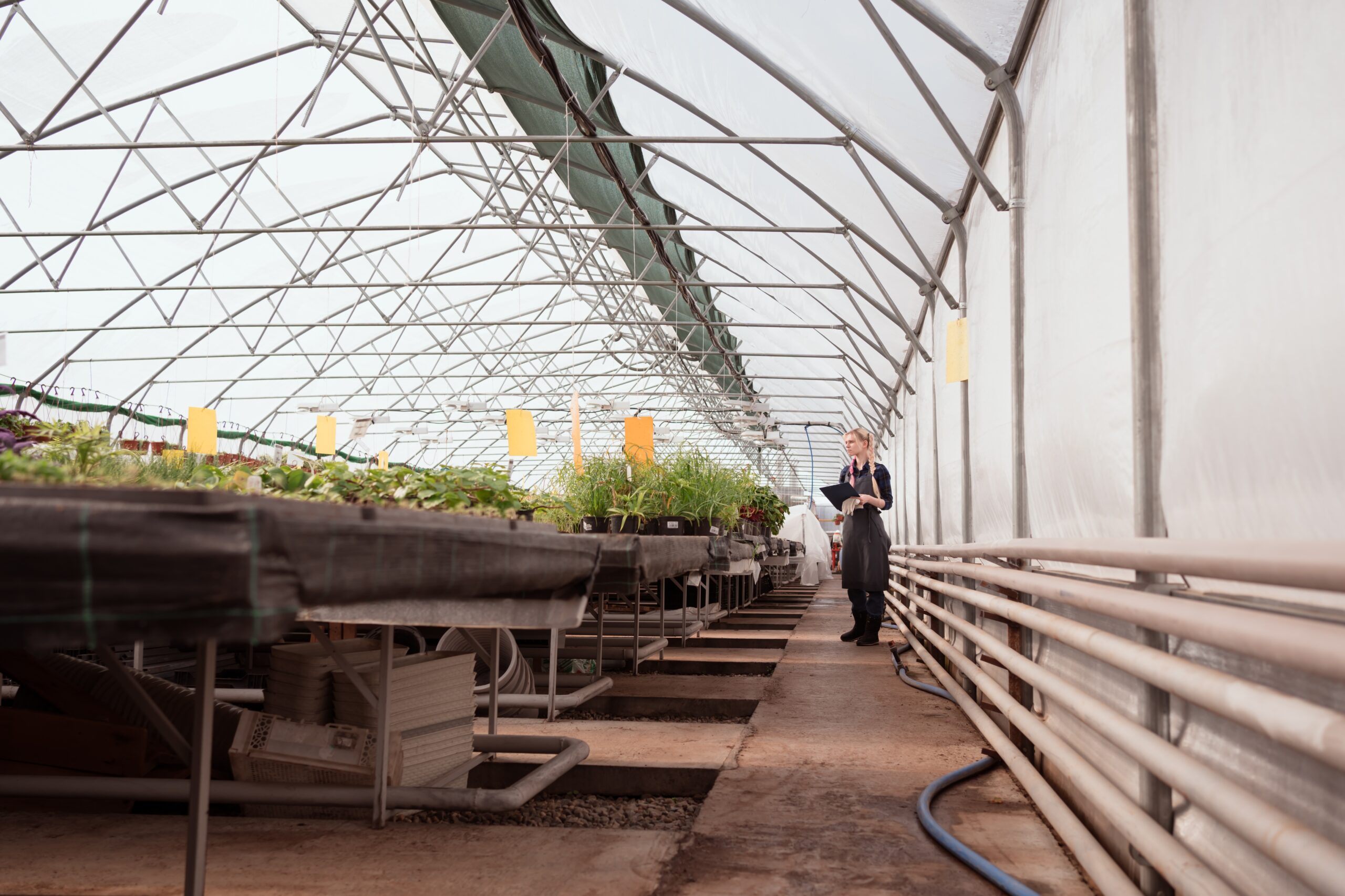 Topraksız Tarım Yatırımlarında Geri Dönüş Sürecini Belirleyen Unsurlar